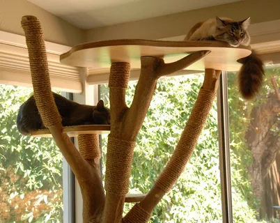 Carpet Cat Tree