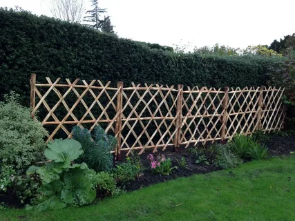 Anchor Trellis