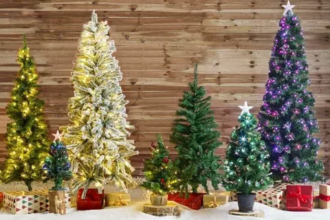  Christmas Trees