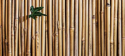 Rolled Bamboo Screening